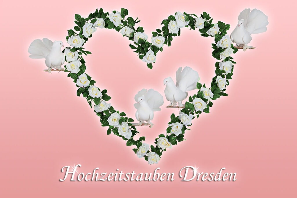 Hochzeitstauben Dresden unser Logo