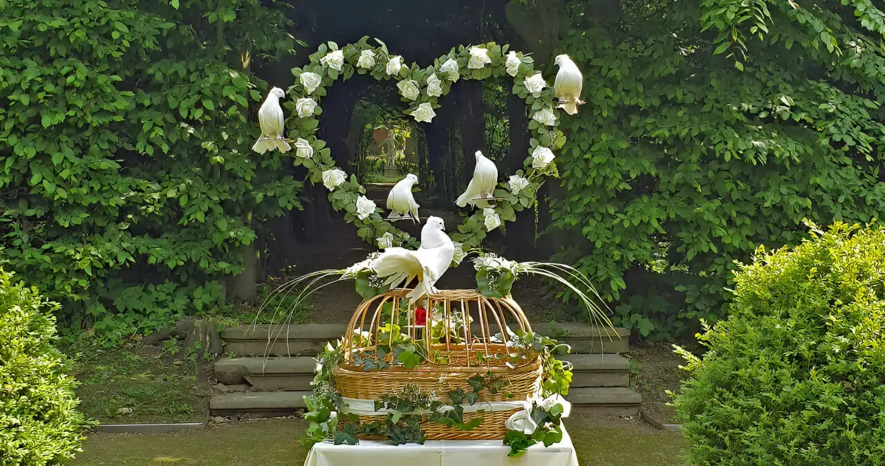 Hochzeitstauben Dresden mit seinem Rosenherz